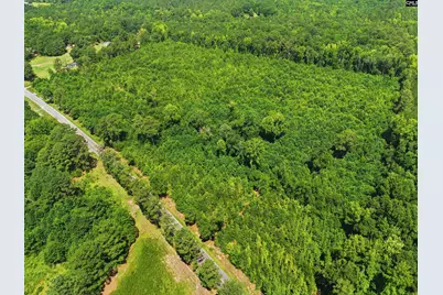 Borden Road, Rembert, SC 29128 - Photo 8