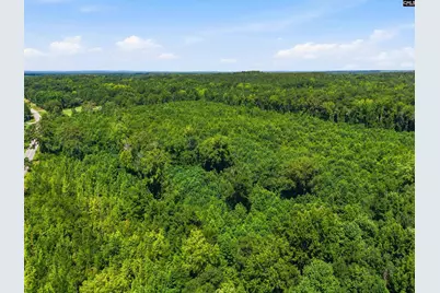 Borden Road, Rembert, SC 29128 - Photo 12