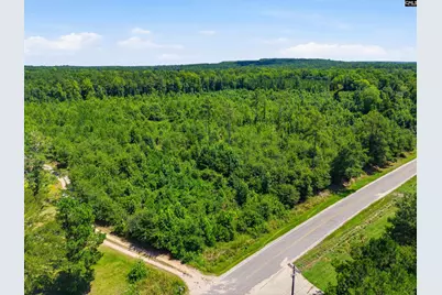 Borden Road, Rembert, SC 29128 - Photo 14
