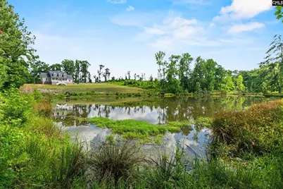 453 Bryan Street, Leesville, SC 29070 - Photo 42