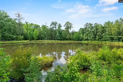 453 Bryan Street, Leesville, SC 29070 - Photo 44