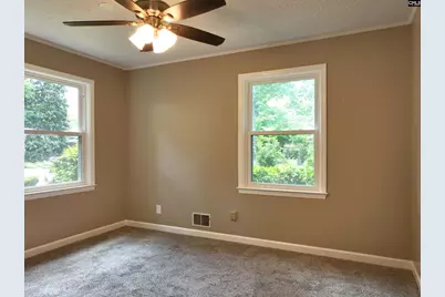 130 Pinewood Drive, Chapin, SC 29036 - Photo 48