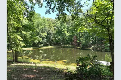 130 Pinewood Drive, Chapin, SC 29036 - Photo 60