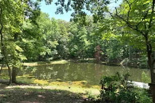 130 Pinewood Dr, Chapin, SC 29036 - Photo 60