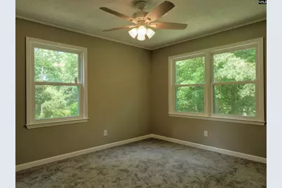 130 Pinewood Drive, Chapin, SC 29036 - Photo 44