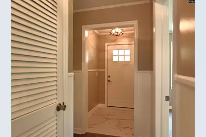 130 Pinewood Drive, Chapin, SC 29036 - Photo 42