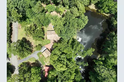 130 Pinewood Drive, Chapin, SC 29036 - Photo 4