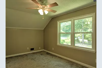 130 Pinewood Drive, Chapin, SC 29036 - Photo 44