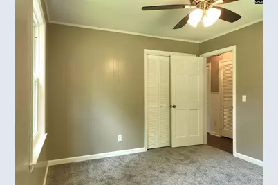 130 Pinewood Drive, Chapin, SC 29036 - Photo 42
