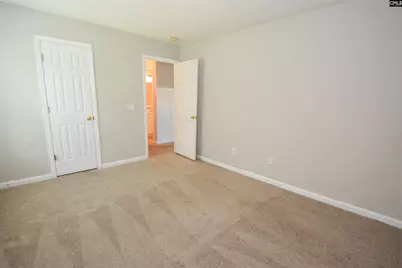 125 Baltic Court, Chapin, SC 29036 - Photo 42