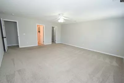 125 Baltic Court, Chapin, SC 29036 - Photo 28