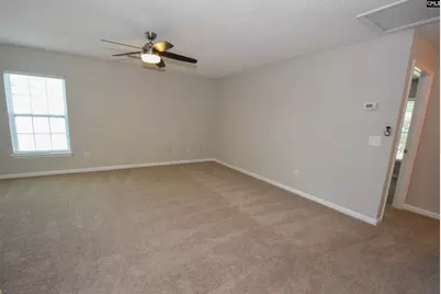 125 Baltic Court, Chapin, SC 29036 - Photo 24