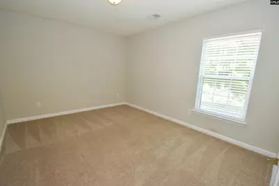 125 Baltic Court, Chapin, SC 29036 - Photo 40