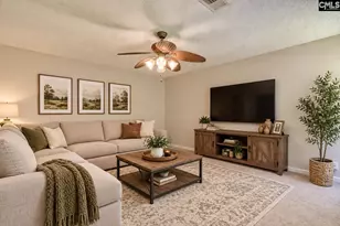 113 Wingspan Way, Chapin, SC 29036 - Photo 8