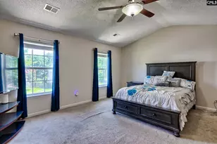 113 Wingspan Way, Chapin, SC 29036 - Photo 20