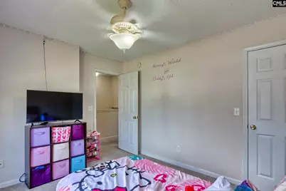 113 Wingspan Way, Chapin, SC 29036 - Photo 28