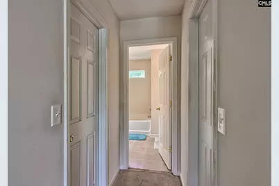 113 Wingspan Way, Chapin, SC 29036 - Photo 24