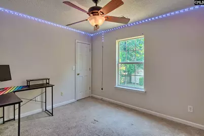113 Wingspan Way, Chapin, SC 29036 - Photo 30