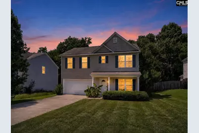 113 Wingspan Way, Chapin, SC 29036 - Photo 1