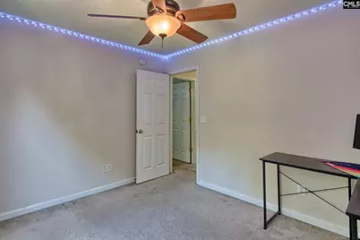 113 Wingspan Way, Chapin, SC 29036 - Photo 20