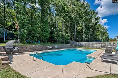 329 Dolly Horn Lane, Chapin, SC 29036 - Photo 1