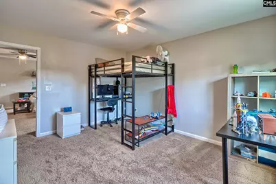 329 Dolly Horn Lane, Chapin, SC 29036 - Photo 40