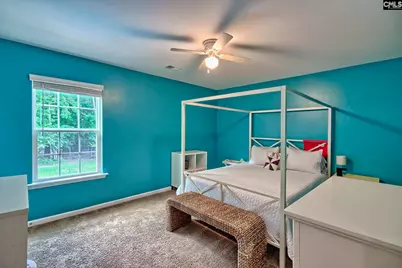 329 Dolly Horn Lane, Chapin, SC 29036 - Photo 30
