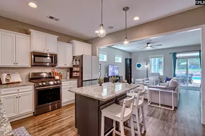 329 Dolly Horn Lane, Chapin, SC 29036 - Photo 8