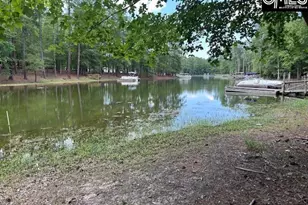110 John Long Rd, Gilbert, SC 29054 - Photo 1