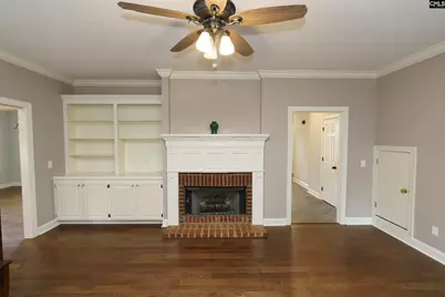 421 Dutchman Shores Circle, Chapin, SC 29036 - Photo 16