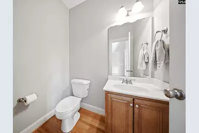 31 Clay Court, Chapin, SC 29036 - Photo 28