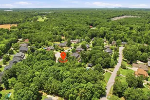 31 Clay Ct, Chapin, SC 29036 - Photo 60