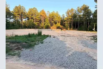 333 Tarpon Road, Batesburg, SC 29006 - Photo 8