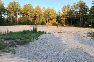 333 Tarpon Rd, Batesburg, SC 29006 - Photo 8