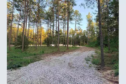 317 Tarpon Road, Batesburg, SC 29006 - Photo 6
