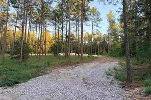 317 Tarpon Rd, Batesburg, SC 29006 - Photo 6