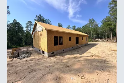 317 Tarpon Road, Batesburg, SC 29006 - Photo 1