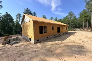 317 Tarpon Rd, Batesburg, SC 29006 - Photo 1
