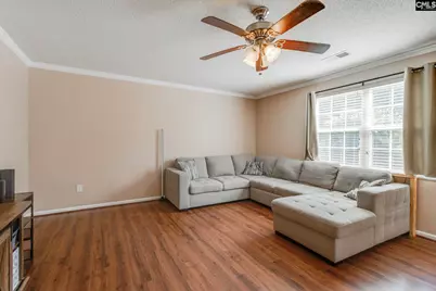 316 Turkey Beard Court, Chapin, SC 29036 - Photo 6