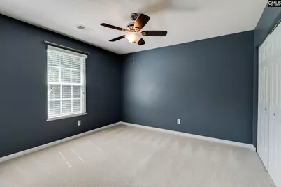 316 Turkey Beard Court, Chapin, SC 29036 - Photo 24
