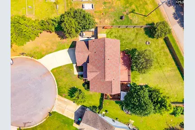 316 Turkey Beard Court, Chapin, SC 29036 - Photo 46