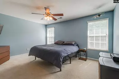 316 Turkey Beard Court, Chapin, SC 29036 - Photo 12