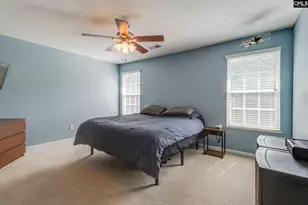 316 Turkey Beard Ct, Chapin, SC 29036 - Photo 12