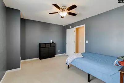 316 Turkey Beard Court, Chapin, SC 29036 - Photo 20