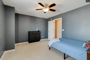 316 Turkey Beard Ct, Chapin, SC 29036 - Photo 20