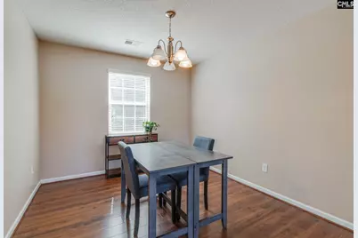 316 Turkey Beard Court, Chapin, SC 29036 - Photo 28