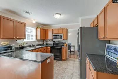 316 Turkey Beard Court, Chapin, SC 29036 - Photo 8