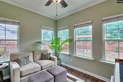 306 Hollow Cove Road, Chapin, SC 29036 - Photo 16
