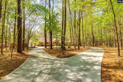 325 Derrick Lane, Blythewood, SC 29016 - Photo 4