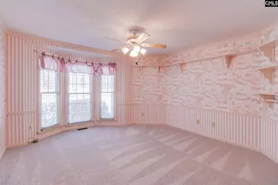 325 Derrick Lane, Blythewood, SC 29016 - Photo 72